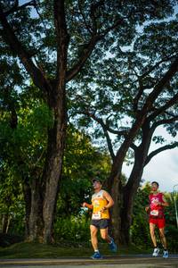 BIB: 
                            <button type="button" onclick="openModal(26551520)" class="btn btn-primary btn-sm float-right btn-popup" data-toggle="modal" data-target=".modal-high-quality">
                        <i class="fas fa-shopping-cart"></i> Add to Cart
                    </button>
                                            <button type="button" onclick="isThisMe(26551520, true)" class="btn btn-success btn-sm float-right btn-popup btn-isme hidden" data-toggle="tooltip" data-placement="bottom" title="นี่คือรูปของคุณใช่ไหม คลิกที่นี่เพื่อเอาเข้าอัลบั้ม">
                        <i class="fas fa-plus"></i> Add to album
                    </button>
                    <button type="button" onclick="isThisMe(26551520, false)" class="btn btn-warning btn-sm float-right btn-popup btn-isnotme hidden">
                        <i class="fas fa-ban"></i> Remove from album
                    </button>